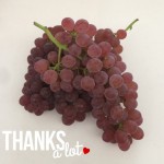 thanks