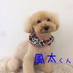 IMG_8266_01