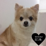 I16miiko