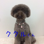 IMG_9700_01