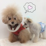 marine&bell