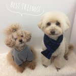 marine&button