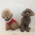 marine&michele