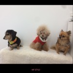 peace&marine&choco