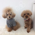 marine&andy