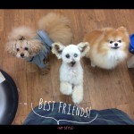 marine&bell&ponpon