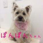 IMG_4287_01