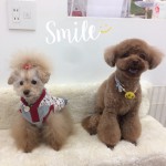 marine&libero