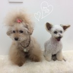 marine&bell