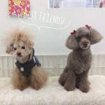 marine&michele