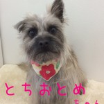 IMG_4401_01