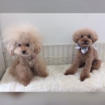marine&andy