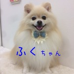 IMG_8810_01