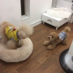 marine&andy