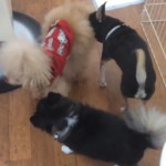 marine&nana&riku